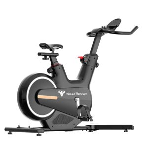 Exercise Spin Bike