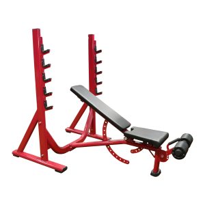 Multi-Degree Olympic Weight Bench