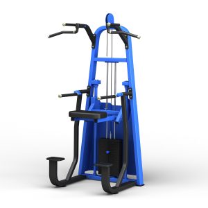 Dip / Chin Assist Machine